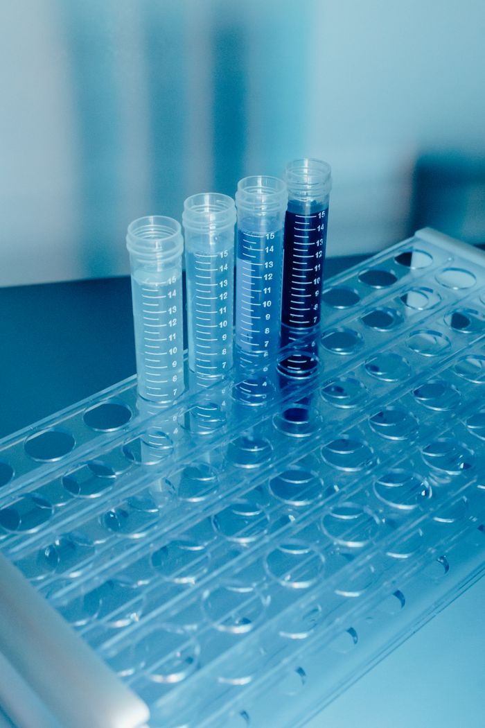 A detailed view of test tubes with colored liquids in a laboratory setting, highlighting scientific research tools.